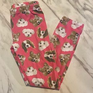 Dog leggings!